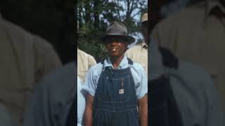 When the US Government Secretly Experimented on Black People shorts Tuskegee history [upl. by Limemann975]