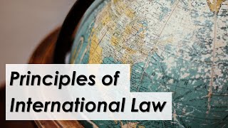 Main principles governing the international legal system  LexIcon [upl. by Morice804]