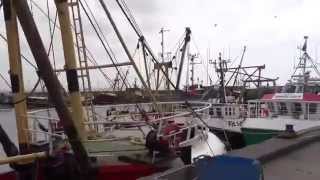 Newlyn Harbour 2014 [upl. by Hgielhsa752]