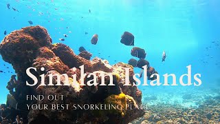 Snorkeling Similan Islands Thailand [upl. by Kirstyn373]