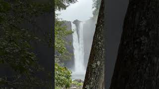 Some real Twin Peaks vibes at Snoqualmie Falls [upl. by Quincy]