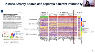 Pancancer Kinase Enrichment Analysis [upl. by Smoot978]