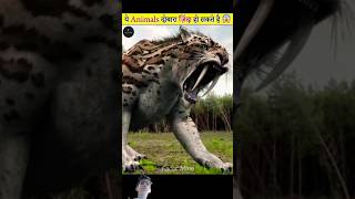 Extinct animals species which are come soon 😱😱trending facts extinct shortvideos [upl. by Eiuqram970]