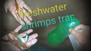 how to make shrimp trapCatching freshwater 🦐shrimps 🦞 to catch big 🐟fish🐟monsoon🌧2024 [upl. by Radbourne]