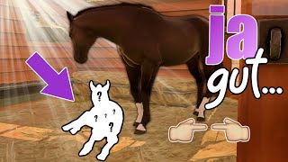 eigentlich wollten wir 🅱🅴🆂🅾🅽🅳🅴🆁🅴 QUARTER HORSES züchten 👉🏼👈🏼 Rival Stars Horse Racing [upl. by Ydnolem562]