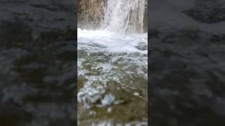 Short hike to Lewis Falls near Crystal Lake Ca [upl. by Kaule]