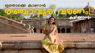 Why We Went to Thanjavur [upl. by Tyrus]