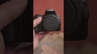 Which One Should You Buy Canon 250D vs Canon 77D [upl. by Isaak]