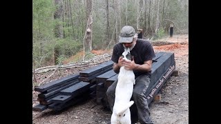 Yakisugicharring and oiling timber for off grid cabin root cellar [upl. by Attenwahs848]