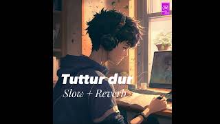 Tuttur dur song slow  reverb  TikTok viral new Arabic song [upl. by Yenaled]