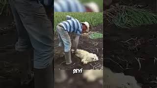 Köpeğini bu yüzden çamura soktu 🥺❤️ [upl. by Mandel818]