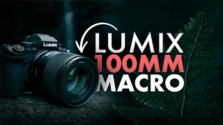 Panasonic LUMIX S 100mm F28 Macro Lens  In The Field [upl. by Amhser]