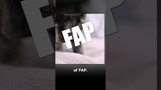 Cats Want FAP [upl. by Atnoved990]