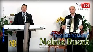 NELUTA BUCUR  Frunzulita maracine live video [upl. by Ianej]