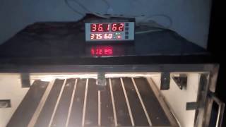 Automatic Computer Control Incubator egg incubator [upl. by Aikehs]