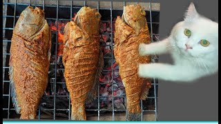 Grilled Hamour fish  Special Fish Grill Recipe  Homebaking CLT [upl. by Nedyah]