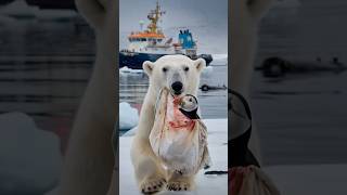 A touching film about a bear cub who asks for help from a sailor to save his friend from danger [upl. by Jaal101]