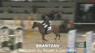 Brantzau VDL  Baloubet du RouetCarthagoCoriander [upl. by Widera212]