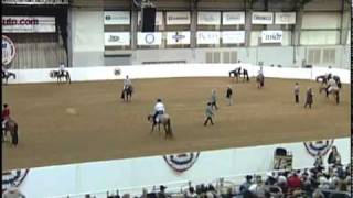 Couglin 2 yr old snaffle bit futurity limited Finals [upl. by Nroht]