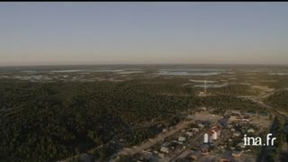 Sibérie  marécages arborés de la région de Surgut [upl. by Boyd]