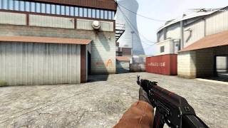 CSGO  NiP f0rest vs Titan DreamHack Summer 2014 [upl. by Edrock776]