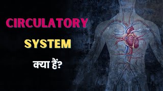 What is Circulatory System  Hindi  Quick Support [upl. by Sacrod870]