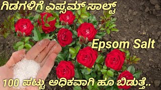 Epsom salt ರೂಪಾಯಿ ಖರ್ಚಿಲ್ಲದೆ ಮನೆಯಲ್ಲೇ ತಯಾರಿಸಿ how to use Epsom Salt for plants [upl. by Ettener]