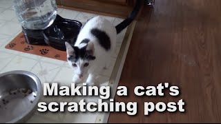 Making A Rugged Cat Scratching PostRope and Wood [upl. by Desai]