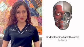 Understanding Facial Muscles for EMFACE treatment [upl. by Olenka405]