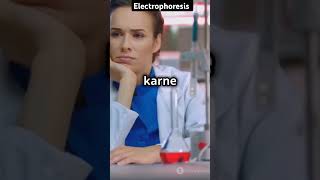 Electrophoresis molecular biologyshort video in video easy mlt shorts biology dnaprotein [upl. by Yarak]