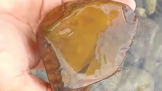 How to Identify Rocks And Gemstones Philippines Amateurgeologist [upl. by Ramma350]