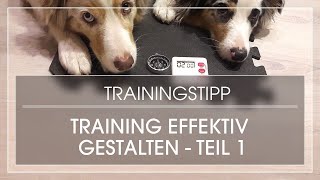 TEIL 1 Hund effektiv trainieren  Hundetraining richtig aufbauen [upl. by Dloreh796]