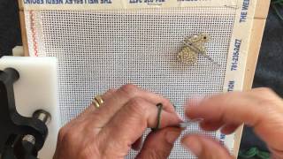 Intro to Needlepoint  Part 1 [upl. by Tehr]