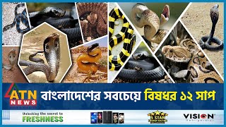 বাংলাদেশের সবচেয়ে বিষধর ১২ সাপ  Poisonous Snake  BD Snake  Russels Viper  ATN News [upl. by Tteirrah685]