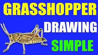 GRASSHOPPER DRAWING SIMPLE  GRASSHOPPER DRAWING METHOD  Easy grasshopper kaise banaen [upl. by Mateo]