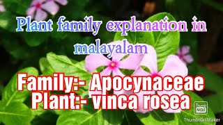 Family Apocynaceae details in Malayalam [upl. by Gaile850]