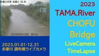 2023 多摩川、調布橋の1年。調布橋ライブカメラタイムラプス [upl. by Etnoved]