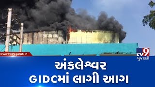 Bharuch Fire breaks out at a company in Ankleshwar GIDC  TV9GujaratiNews [upl. by Naitsabas]