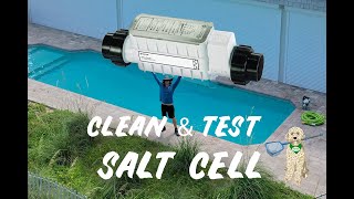 HOW TO CLEAN amp TEST A SALT CELL  PENTAIR INTELICHLOR [upl. by Shelbi]