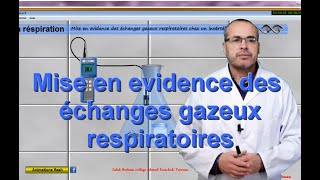 Gaz du sang  Partie 1  Docteur Synapse [upl. by Omland]