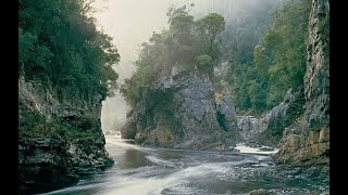 The story of the Tasmanian Dam Case [upl. by Nilcaj681]