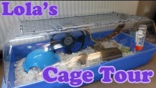 Syrian Hamster CAGE TOUR  Lolas Cage Summer 2013 [upl. by Cappello478]