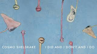 Cosmo Sheldrake  I Did And I Don’t And I Do [upl. by Accever903]