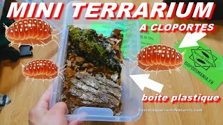 tuto 2 cloporte  terrarium forestier naturel pas cher  isopodsmaniafr  Pascal Aquariums Naturels [upl. by Tsenre]