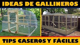 Las Mejores Ideas para hacer Gallineros  Tips Caseros [upl. by Orlando727]