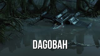 Star Wars Ambience  Dagobah wildlife relaxing nature white noise [upl. by Duwalt]