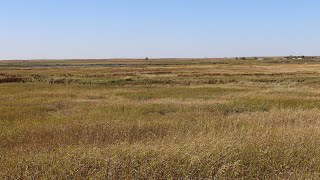 Conservation Reserve Program CRP  Signup  NDGNF  01302020 [upl. by Fe]