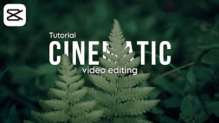 Cara Edit Video Cinematic Di CapCut  Edit Cinematic Love Story [upl. by Sapowith995]