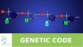 GENETIC CODE [upl. by Kleeman253]