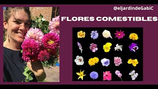 FLORES COMESTIBLES Pétalos que se comen y se utilizan para cocinar o decorar platos [upl. by Nolrak]